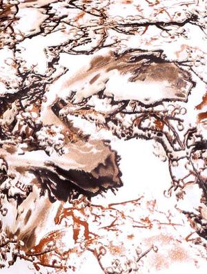 brown cotton top - 12374623 - Standard Image - 4