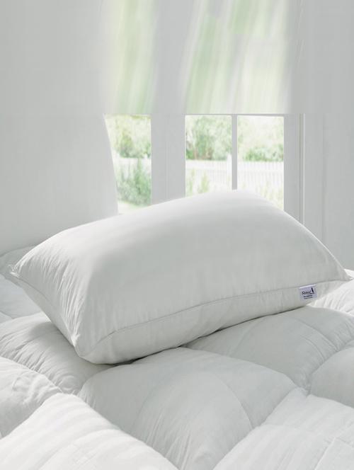 White Microfibre Solid Pillow - 13406484 - Very Small Image - 1