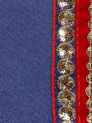 blue half and half saree with blouse - 14512257 - Standard Image - 4