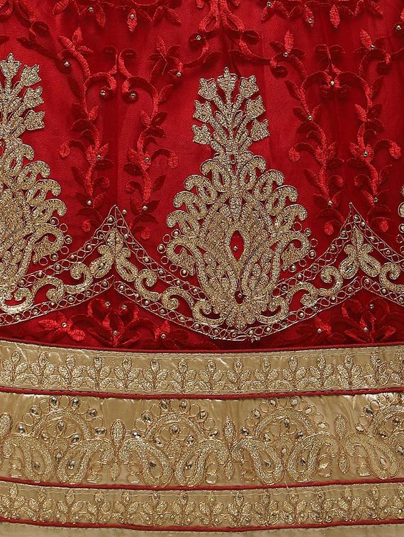 red net aline lehenga - 14984326 - Zoom Image - 4