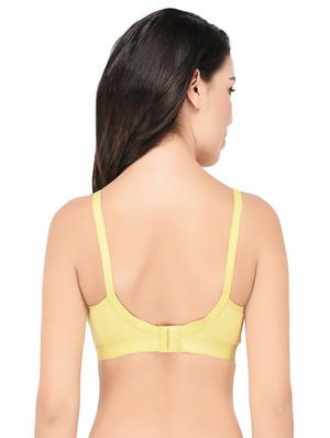 set of 3 multi colored hosery bra - 15193870 - Standard Image - 7
