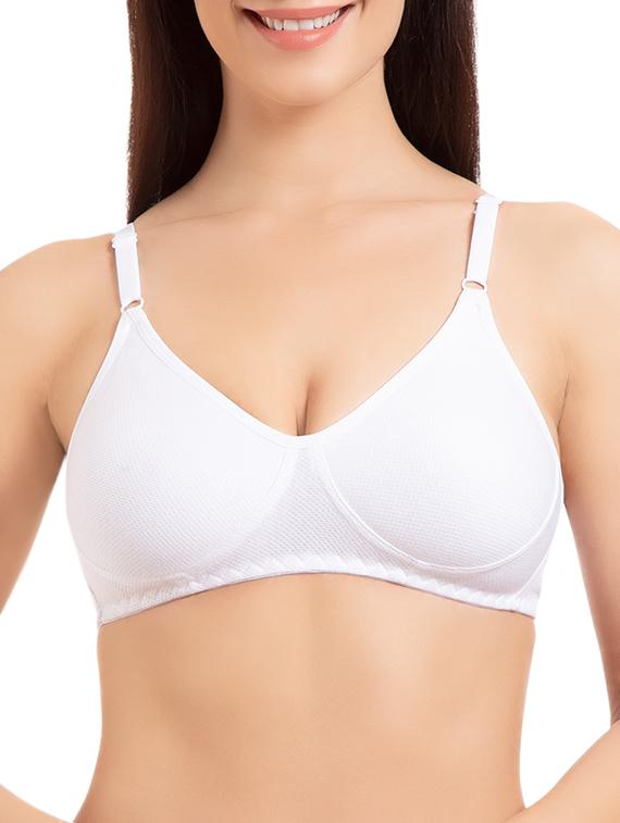 set of 2 multicolored solid cotton t-shirt bras - 15203834 - Zoom Image - 4