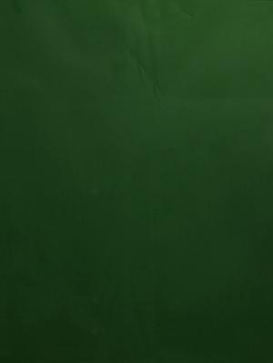green georgette plain saree with blouse - 15335444 - Standard Image - 4