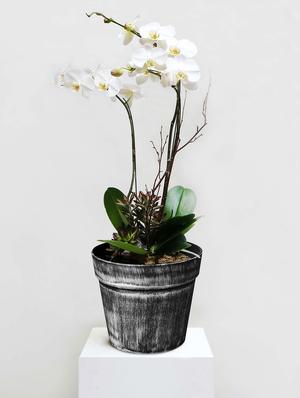 story@home 2 pc silver finish plastic pot - 15384916 - Standard Image - 4