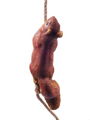 Squirrel Climbing Rope Decor ( Animal statue, Garden decor , Home decor, gift , hanging decoration , balcony ) - 15440886 - Standard Image - 4