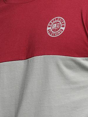 grey cotton color block t-shirt - 15497598 - Standard Image - 4