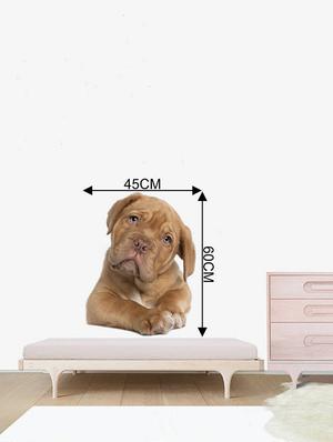 Rawpockets Wall Decals ' Living Room Cute Dog Pose ' Wall stickers (PVC Vinyl) Multicolour - 15733895 - Standard Image - 4