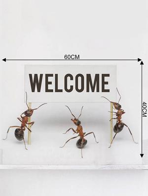 Rawpockets Wall Decals ' Welcome by Ants ' Wall stickers (PVC Vinyl) Multicolour - 15733896 - Standard Image - 4