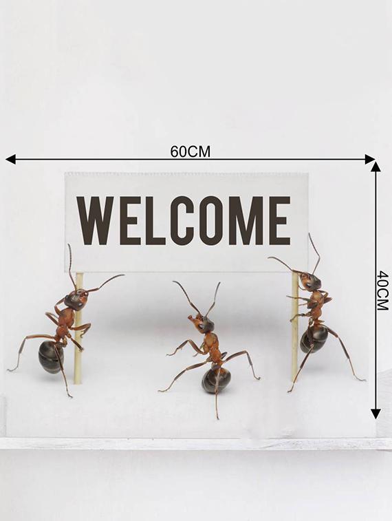 Rawpockets Wall Decals ' Welcome by Ants ' Wall stickers (PVC Vinyl) Multicolour - 15733896 - Zoom Image - 4