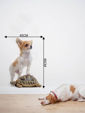 Rawpockets Wall Decals ' Dog and Tortoise ' Wall stickers (PVC Vinyl) Multicolour - 15733898 - Standard Image - 4