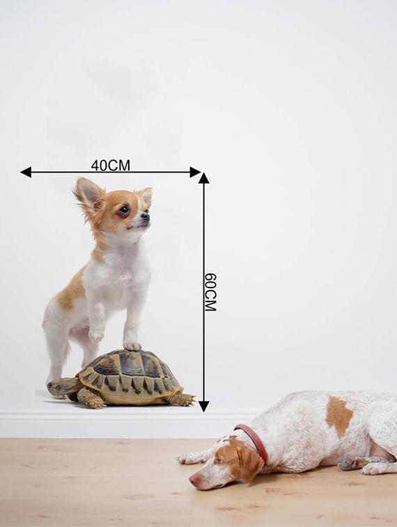 Rawpockets Wall Decals ' Dog and Tortoise ' Wall stickers (PVC Vinyl) Multicolour - 15733898 - Zoom Image - 4