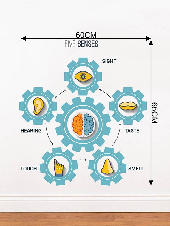Rawpockets Wall Decals ' Five Senses?Chart ' Wall stickers (PVC Vinyl) Multicolour - 15734168 - Zoom Image - 4