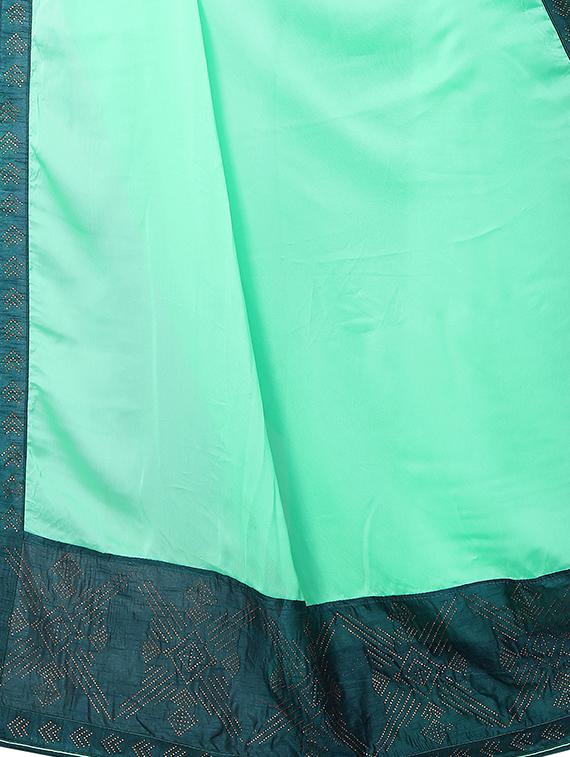 embellished pallu bordered saree with blouse - 15734787 - Zoom Image - 4