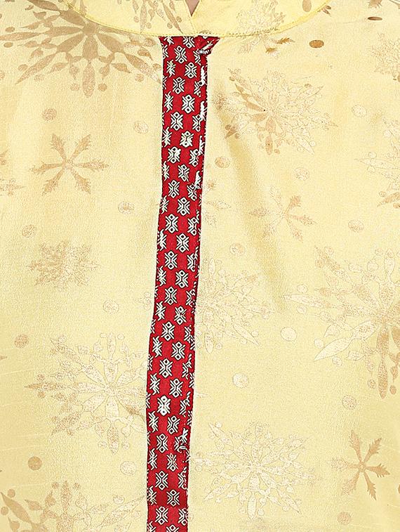 Foil printed kurta with pant set - 15737626 - Zoom Image - 4