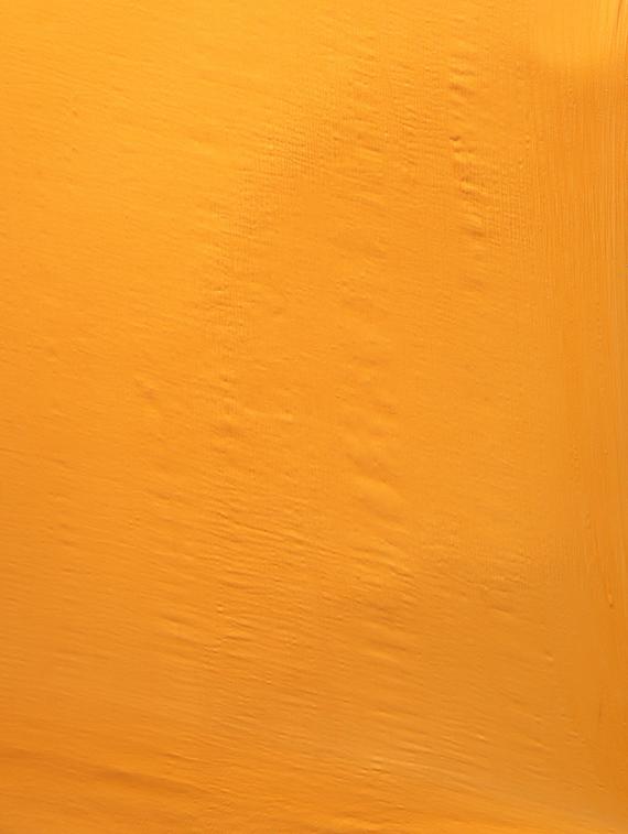zari plain saree with blouse - 15958961 - Zoom Image - 4