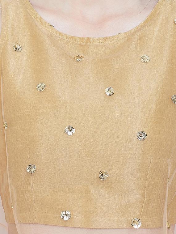 embellished a-line lehenga - 16574401 - Zoom Image - 4