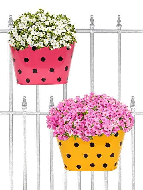 oval hanging dotted railing planters (set of 2) - 16786332 - Standard Image - 1