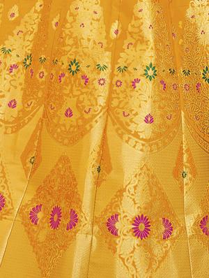 self design panelled lehenga - 16845434 - Standard Image - 4