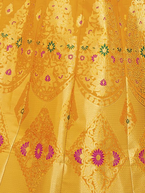 self design panelled lehenga - 16845434 - Zoom Image - 4