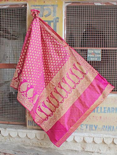 Pink and Gold Paisley Saree