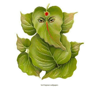 Vignesh