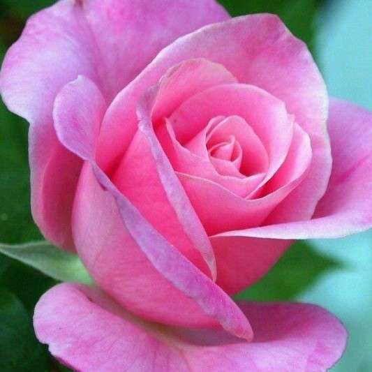 Sunita Choudhary