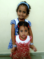 shazfa 241