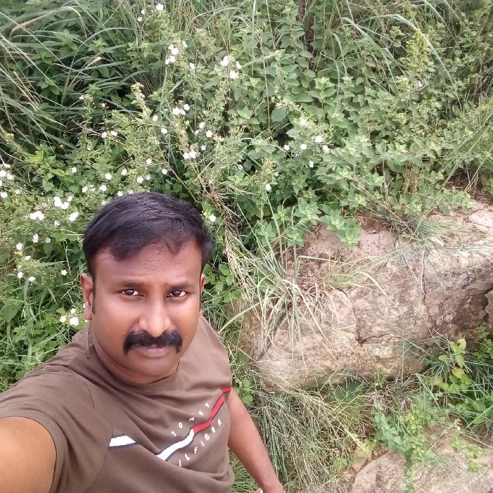 Antony Sam S