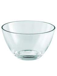Casual Transparent Service Bowl