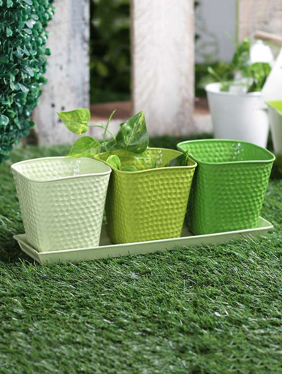 set of 3 herb set green
