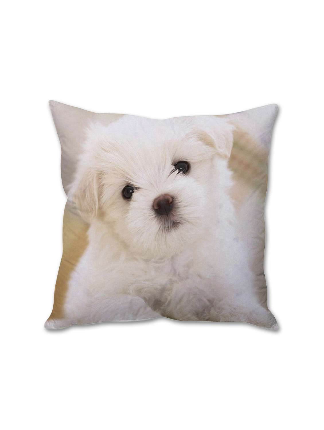 white puppy cushion cover