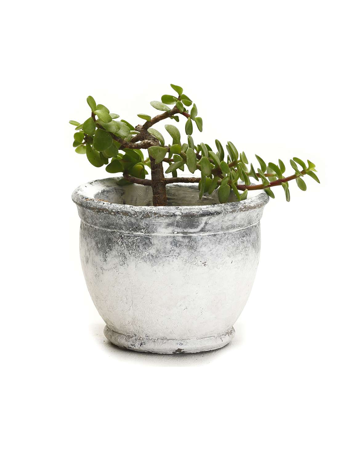 mortar design stone finish stone planter pot