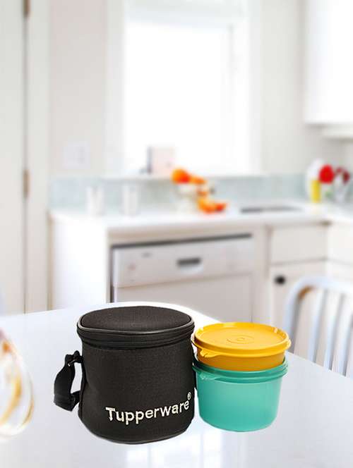 Buy online Tupperware Small Executive Plastic Lunch Box With