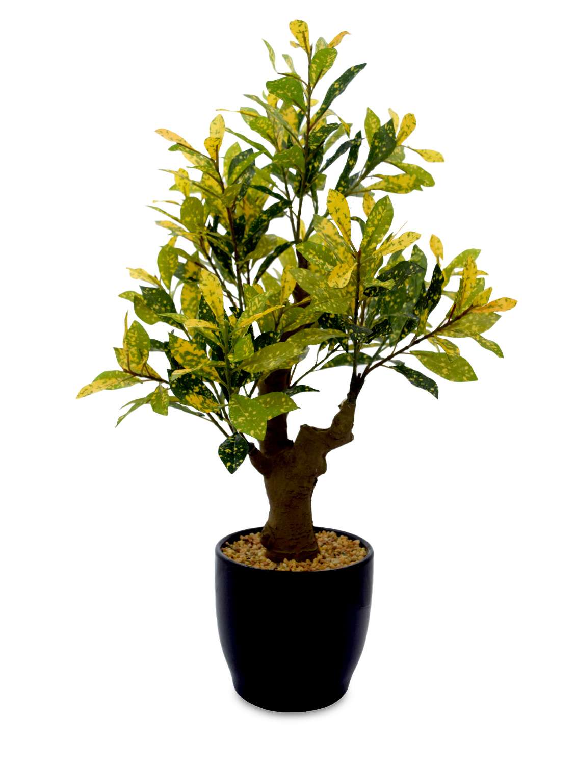 Artificial Croton Bonsai Plant with Pot