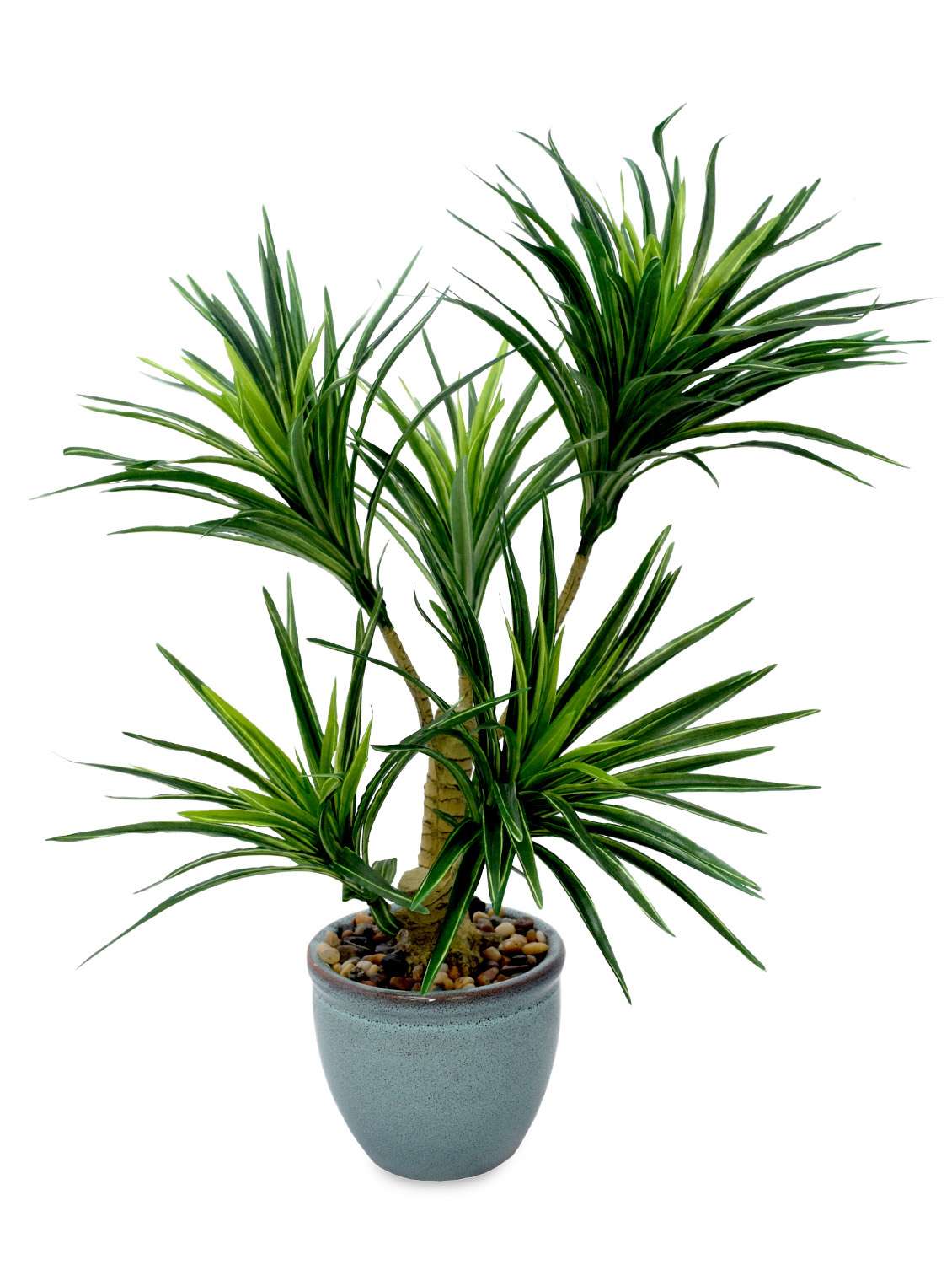 Buy online Artificial Yucca Bonsai Plant With Pot from Vases & Flowers for  Unisex by Fourwalls for 4150 at 0% off | 2026 Limeroad.com