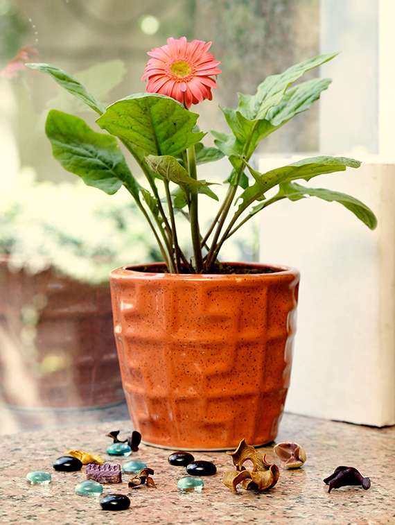 unravel india hand made stoneware planter - 12526206 - Zoom Image - 0