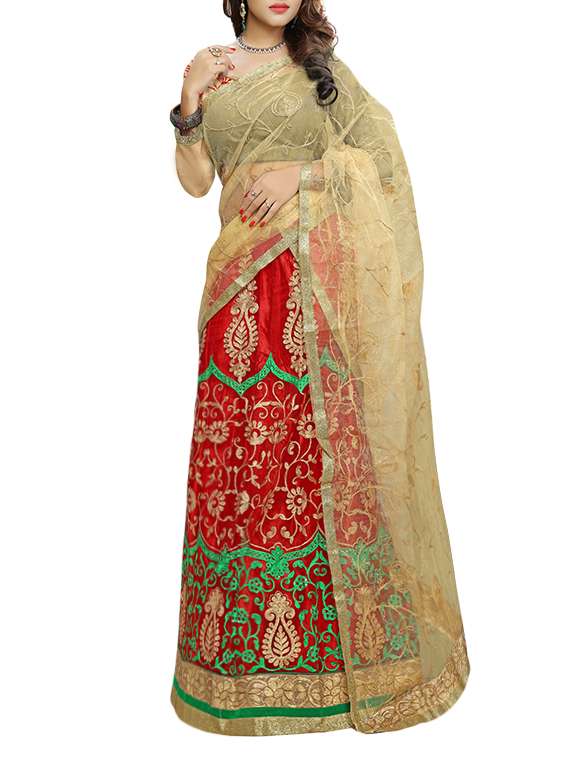 Red net embroidered lehenga