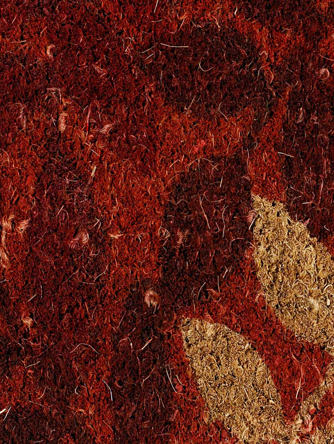saral home premium quality heavy duty coir mat -45x90 cm - 12996824 - Standard Image - 3