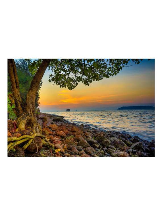 Poster (PVC Vinyl,Wall Covering Area 36 Inch x 24 Inch)