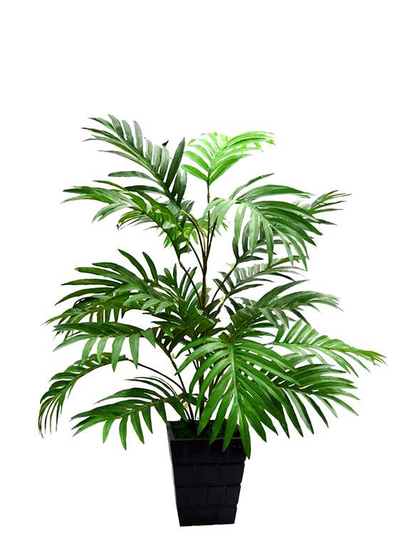 Fourwalls 75cm Artificial Areca Plant with 21 Leaves