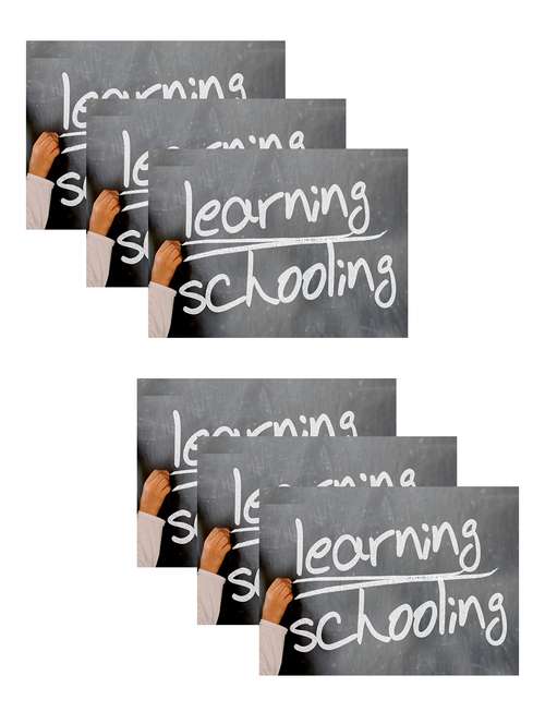 printed polyester table mat set of 6 pcs by ambbi collections - 14085901 -  Standard Image - 0