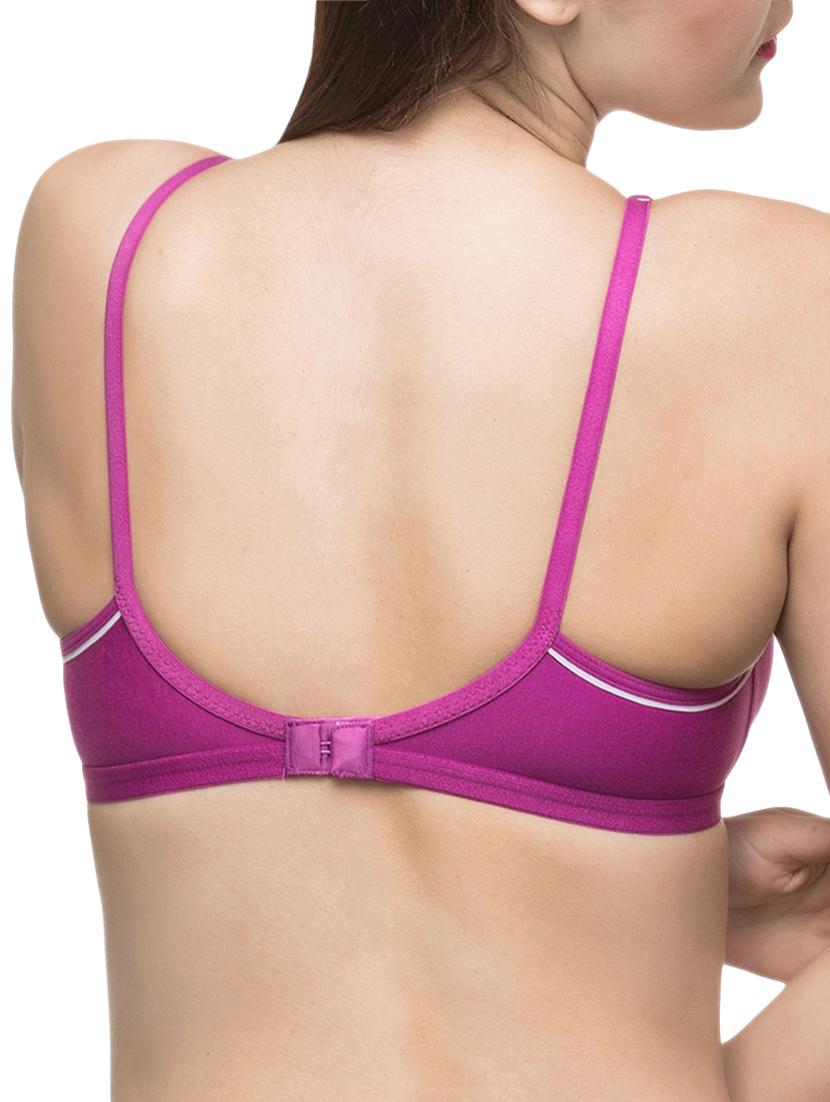 set of 3 bow patch bra - 14554149 - Standard Image - 3