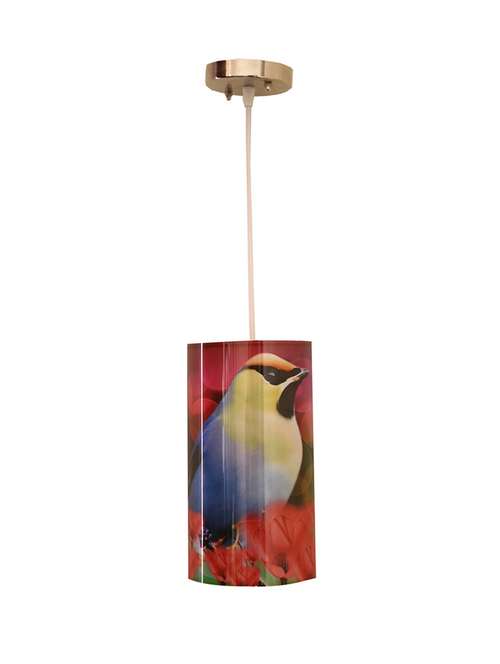 Ceiling Lights