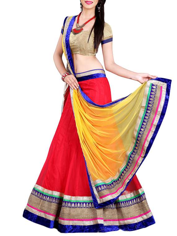 red net panelled lehenga