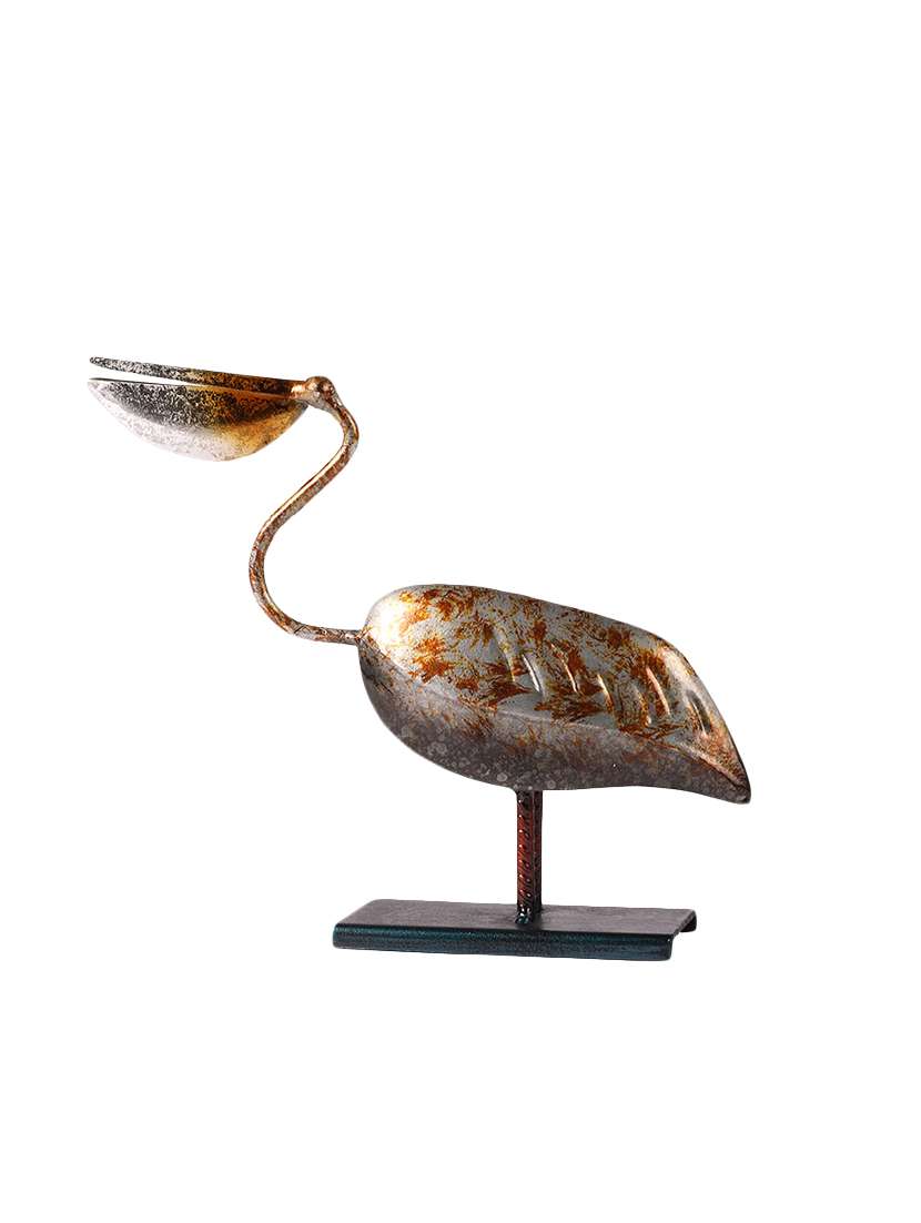 a-baby pelican - straight