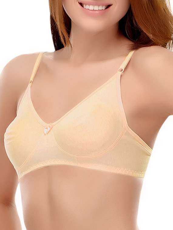 set of 3 multicolored solid cotton t-shirt bras - 14964802 -  Standard Image - 3