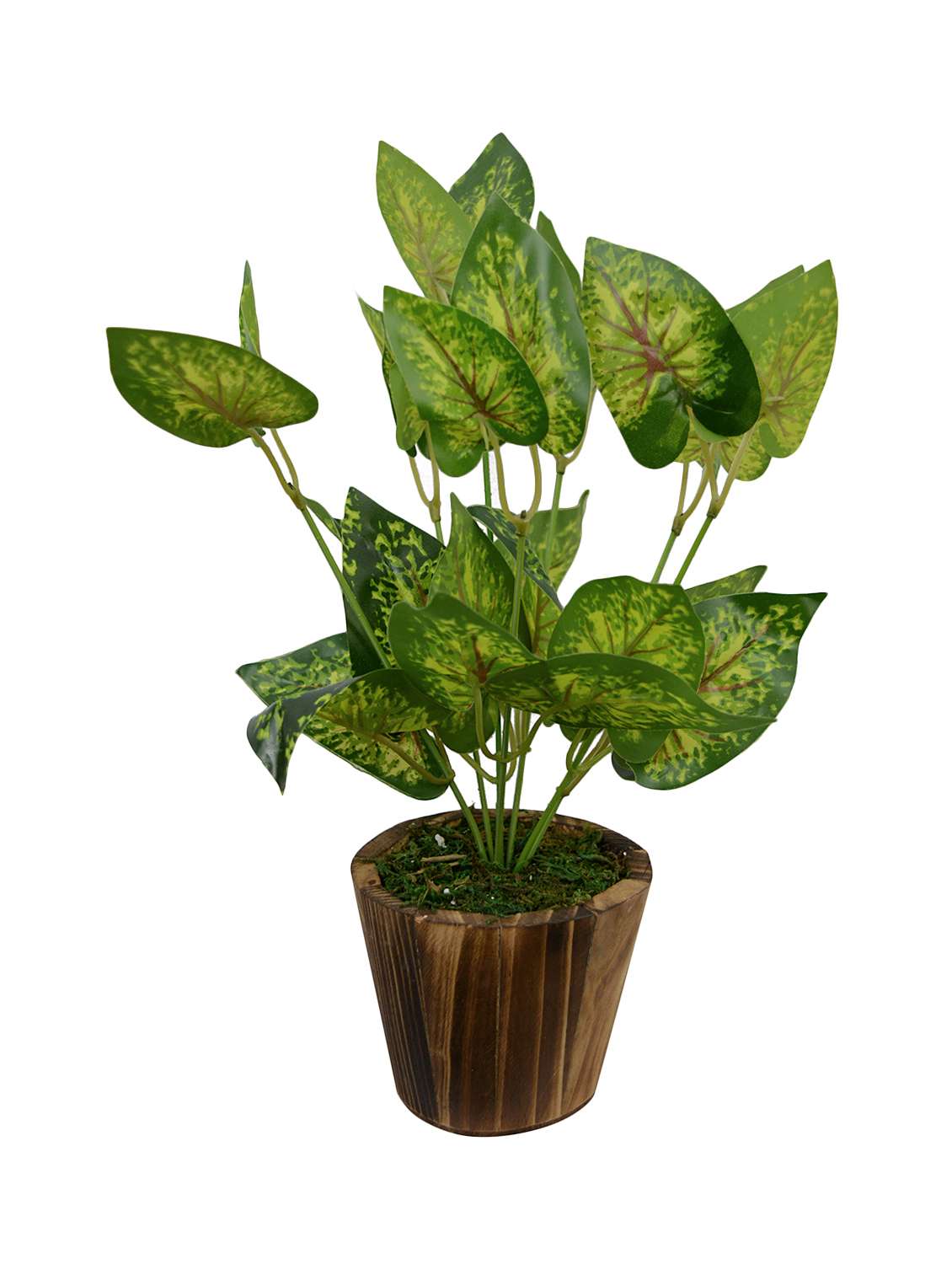 artificial green plant bunch (33 cm/ 13 inchs) in wood round small pot