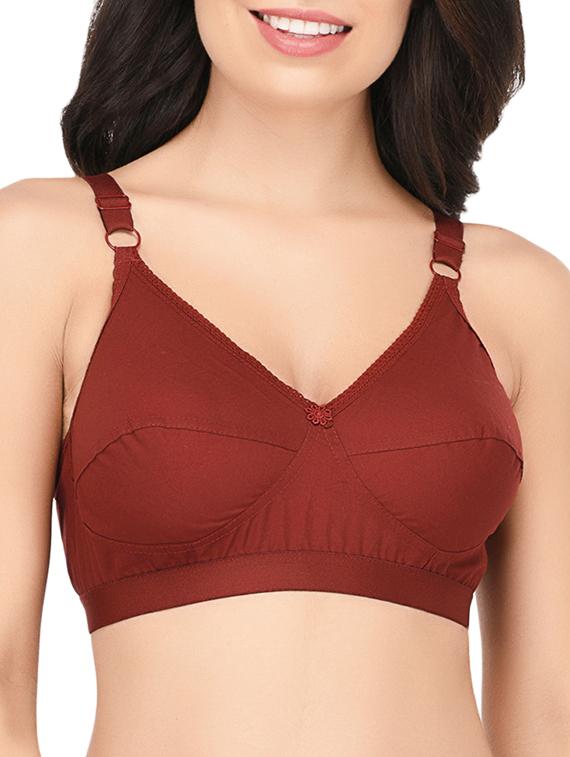 bow patch solid regular bra  - 15188966 -  Zoom Image - 0