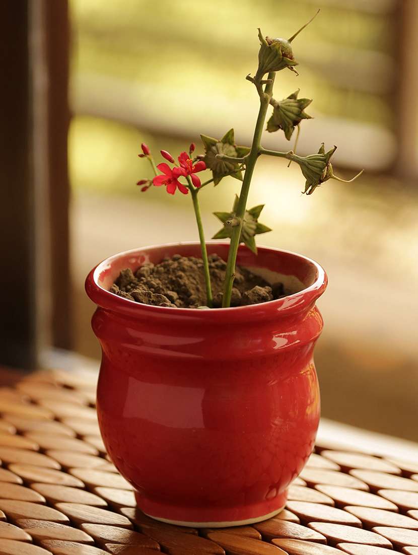 studio pottery garden & balcony planter pot in ceramic