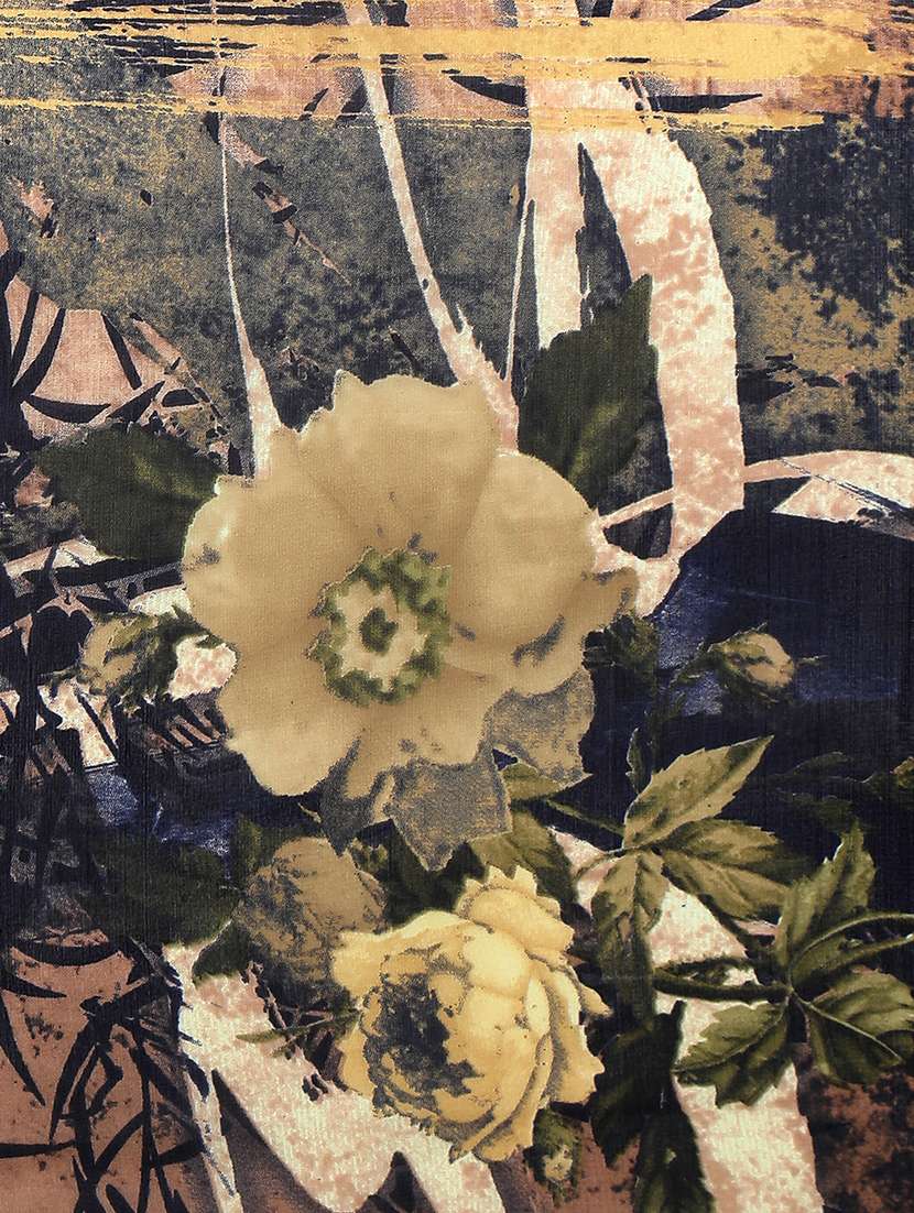 georgette printed saree with blouse - 15354214 -  Standard Image - 3